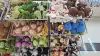 You can go to the store to choose 103041 Specification image